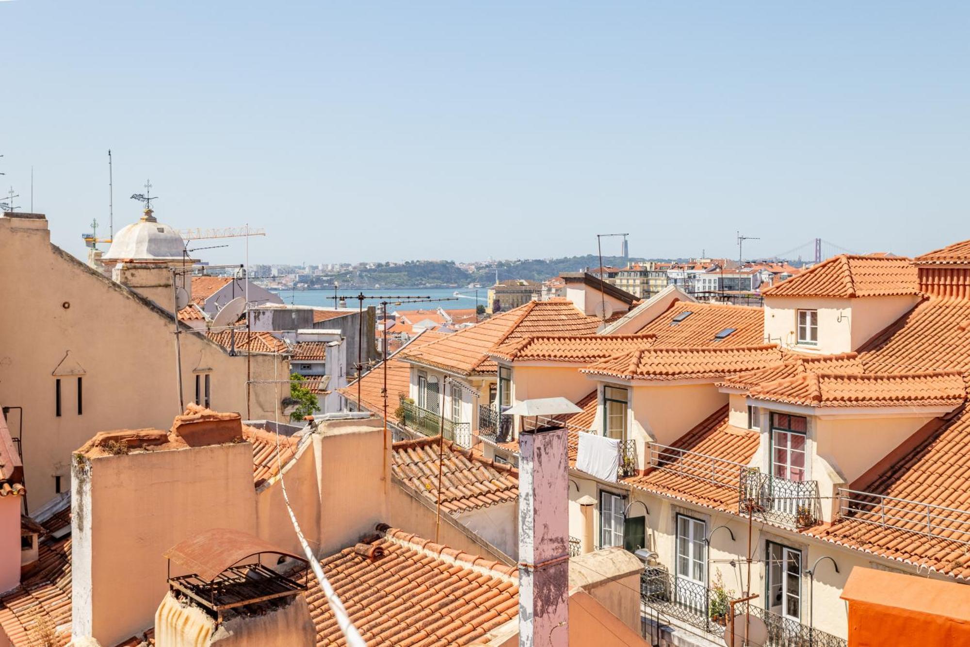 Gralhas Lisboa