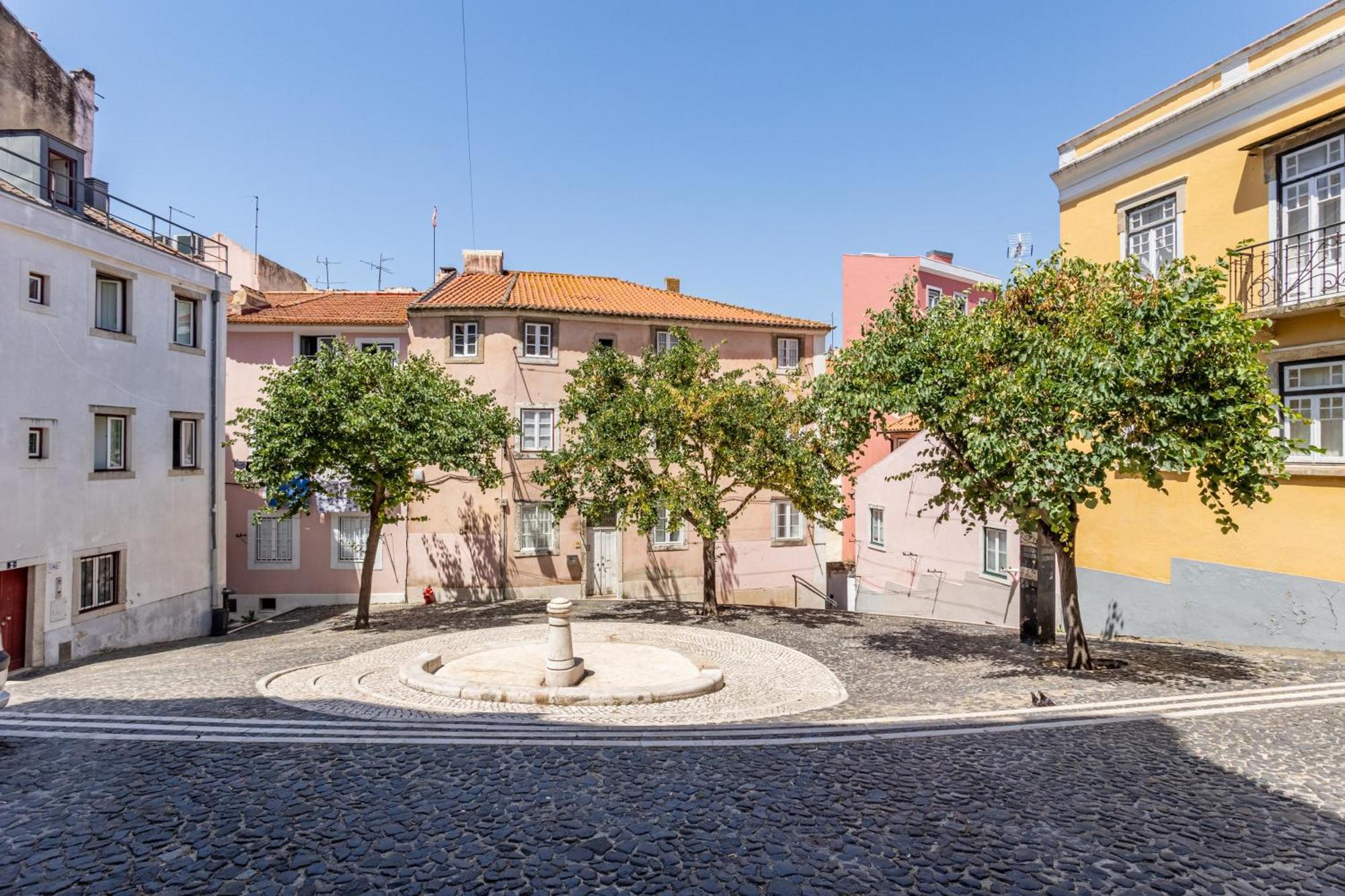 Gralhas * Lisboa