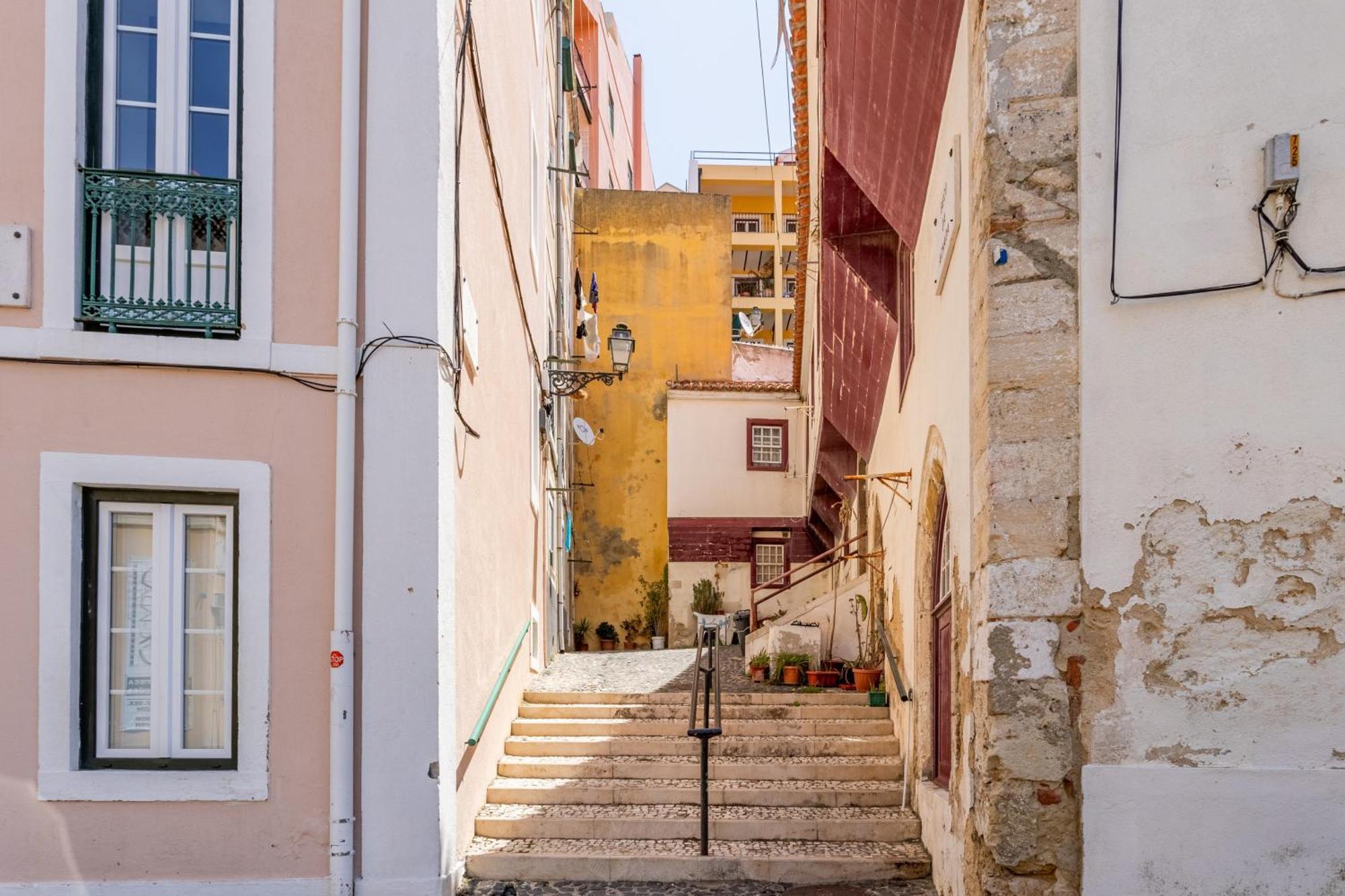 Gralhas Lisboa